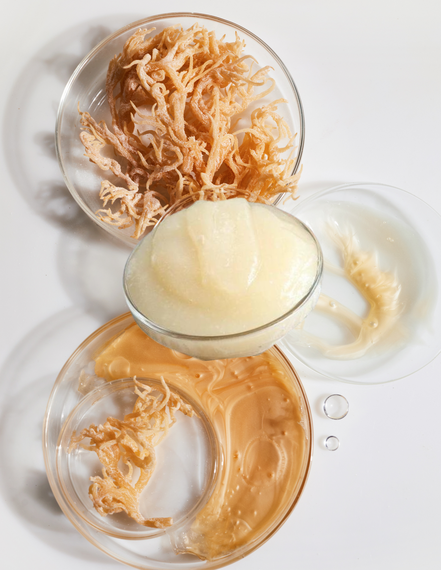 Premium Sea Moss Gel